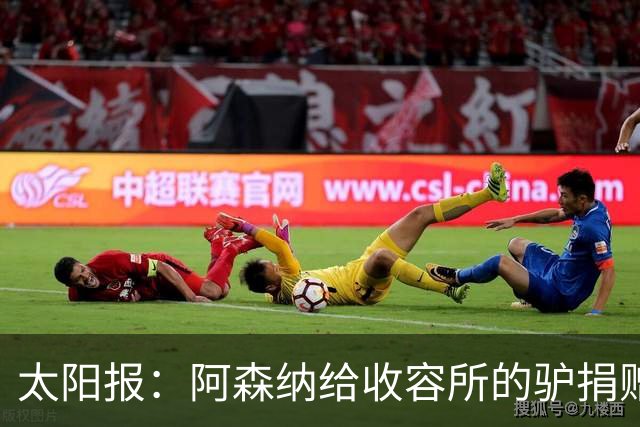 太阳报：阿森纳给收容所的驴捐赠40双球袜，保护它们腿部免受感染